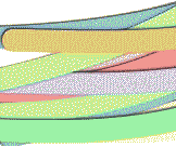 �C�[���t�g�h�b�g�R��������Q