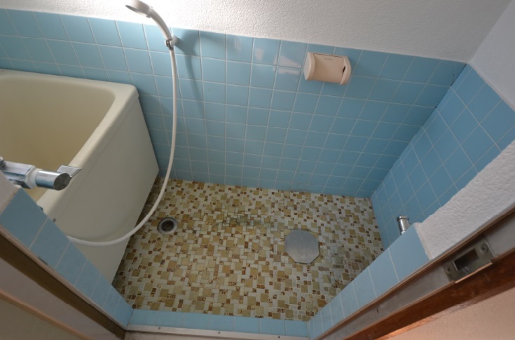 �y�킪�g���邨�����@�����C