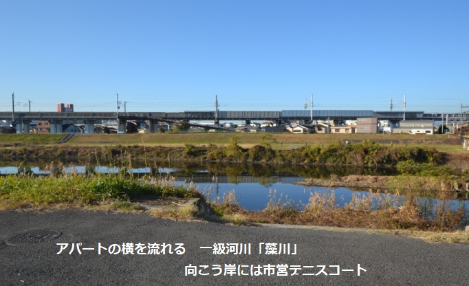 �h�����t�A�p�[�g�̋߂��ɂ���ꋉ�͐쑔��